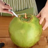 Stainless Steel Coconut Opener Fruit Open Tools Durable Water Punch Tap