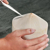 Stainless Steel Coconut Opener Fruit Open Tools Durable Water Punch Tap