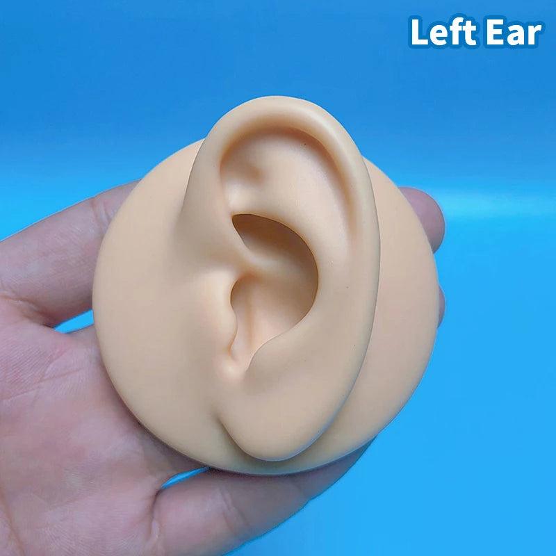 Soft Silicone Ear Model For Jewelry Display 1:1 Human Ear Model Simulation