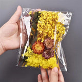 Dried Flowers for Resin UV Epoxy Mold Pendant Jewelry Decor