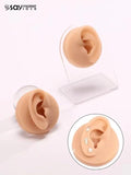 1:1 Human Ear Model Soft Silicone Display Acrylic Teaching Tools Practice Ear