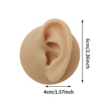 1:1 Human Ear Model Soft Silicone Display Acrylic Teaching Tools Practice Ear