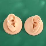 1:1 Human Ear Model Soft Silicone Display Acrylic Teaching Tools Practice Ear