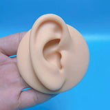 1:1 Human Ear Model Soft Silicone Display Acrylic Teaching Tools Practice Ear