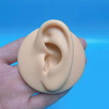 1:1 Human Ear Model Soft Silicone Display Acrylic Teaching Tools Practice Ear