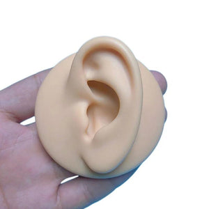 Silicone Ear Model Practice Piercing Tools Ears Stud Display