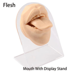 3D Silicone Mouth Model for Piercing Jewelry Display