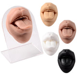 3D Silicone Mouth Model for Piercing Jewelry Display