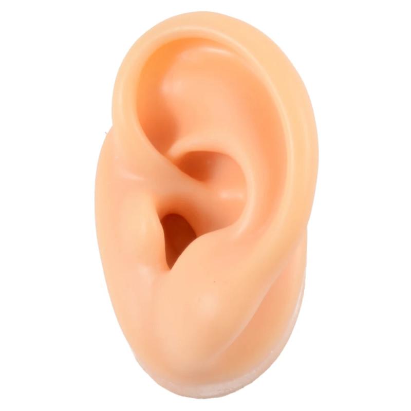 Soft Silicone Jewelry Display Ear Model Tattoo Practice Piercing Tools