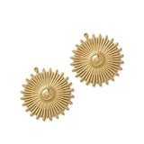 Raw Brass Sun Radiating Light Charms Daisy Flower Pendant, 6pcs