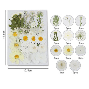 Dried Flowers for Resin Molds DIY Craft