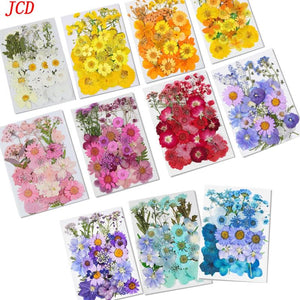 Dried Flowers for Resin Molds DIY Craft