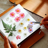 Dried Flowers for Resin Molds DIY Craft