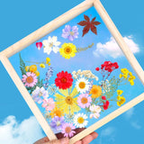 Dried Flowers for Resin Molds DIY Craft