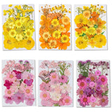 Dried Flowers for Resin Molds DIY Craft