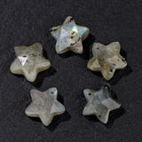 14mm Natural Stone Star Pendant Labradorite Amazonite Amethysts Beads