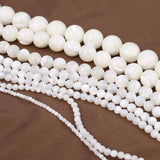 Trochus Shell Stone Beads for Jewelry Making DIY