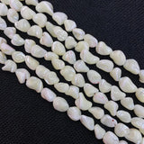 Natural Shell Irregular Shape Charm Jewelry DIY Necklace Bracelet Earrings