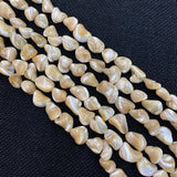 Natural Shell Irregular Shape Charm Jewelry DIY Necklace Bracelet Earrings