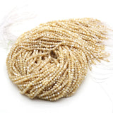 Freshwater Shells Beaded Round Charms Isolation Loose Beads