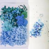 Natural Flower Mix for Aromatherapy Crafts DIY