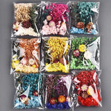 Dried Flowers for Resin Pendant Jewelry Decor DIY Pressed Floral Art