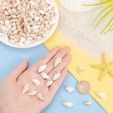 300pcs Seashell Beads 2 Styles Ocean Beach Spiral Shells Craft Charms 1mm Hole