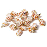 10Pcs Natural Conch Cowrie Pendant Ocean Charm DIY Craft