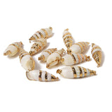 10Pcs Natural Conch Cowrie Pendant Ocean Charm DIY Craft
