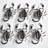 Amethyst Scorpion Pendant Brooch for Jewelry Making 6pcs/lot