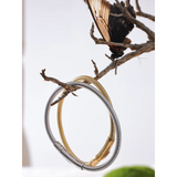 316 Stainless Steel Chain Bracelet Bangle 18K PVD Plated Daily Jewelry Gift
