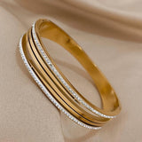 Crystal Zircon Charm Stainless Steel Bangles Bracelets for Women