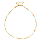 Boho Shell Beads Choker Necklace for Women
