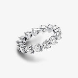 Hearts Eternity Ring 925 Silver Jewelry For Woman