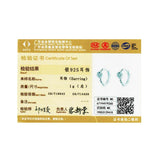 925 Silver Cubic Zircon Small Hoop Earrings Mini Round Earrings