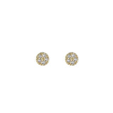 14k Plated Crystal Zircon Mini Stud Earrings for Women