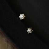 925 Silver 14K Star Zircon Stud Earrings Piercing Jewelry