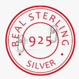 925 Sterling Silver Zircon Earrings Classic Jewelry Women Engagement