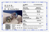 925 Silver Needle Zircon Earrings Crystal Stud Women Accessories Gift