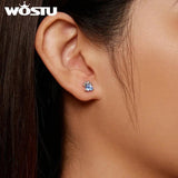 925 Silver Zircon Dog Paw Heart Stud Earrings CQE1574-LB