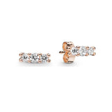 925 Sterling Silver Rose Series Earrings