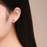 925 Silver Unicorn Horse Stud Earrings for Women Girls Kids Baby