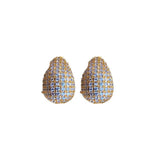 Zircon Doudou 925 Silver Earrings