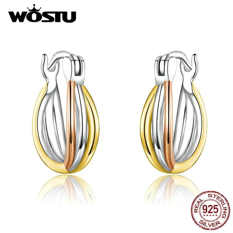 925 Silver Bicolor Earrings Women Jewelry CQE719