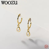 925 Silver Water Drop Zircon Earrings for Women