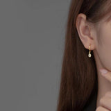 925 Silver Water Drop Zircon Earrings for Women
