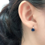 Crystal Zircon 925 Silver Drop Earrings for Women Wedding Jewelry