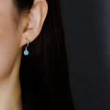 925 Sterling Silver Multicolor Zircon Drop Earrings for Women
