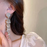 Zircon Wind Chimes Tassel Earrings Hip-hop Rock Metal Earrings