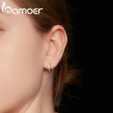 Rainbow Zircon 925 Silver Heart Round Earrings